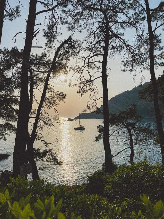 Kabak Uetopya Kamp Faralya Exterior photo