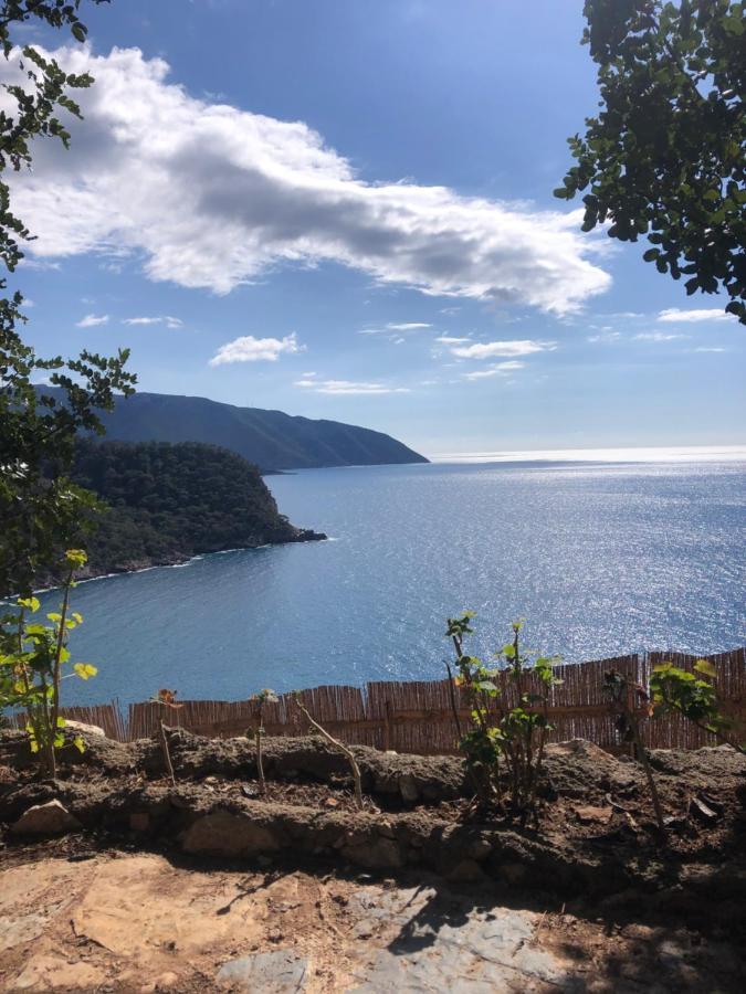 Kabak Uetopya Kamp Faralya Exterior photo